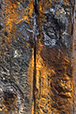 Patina 27